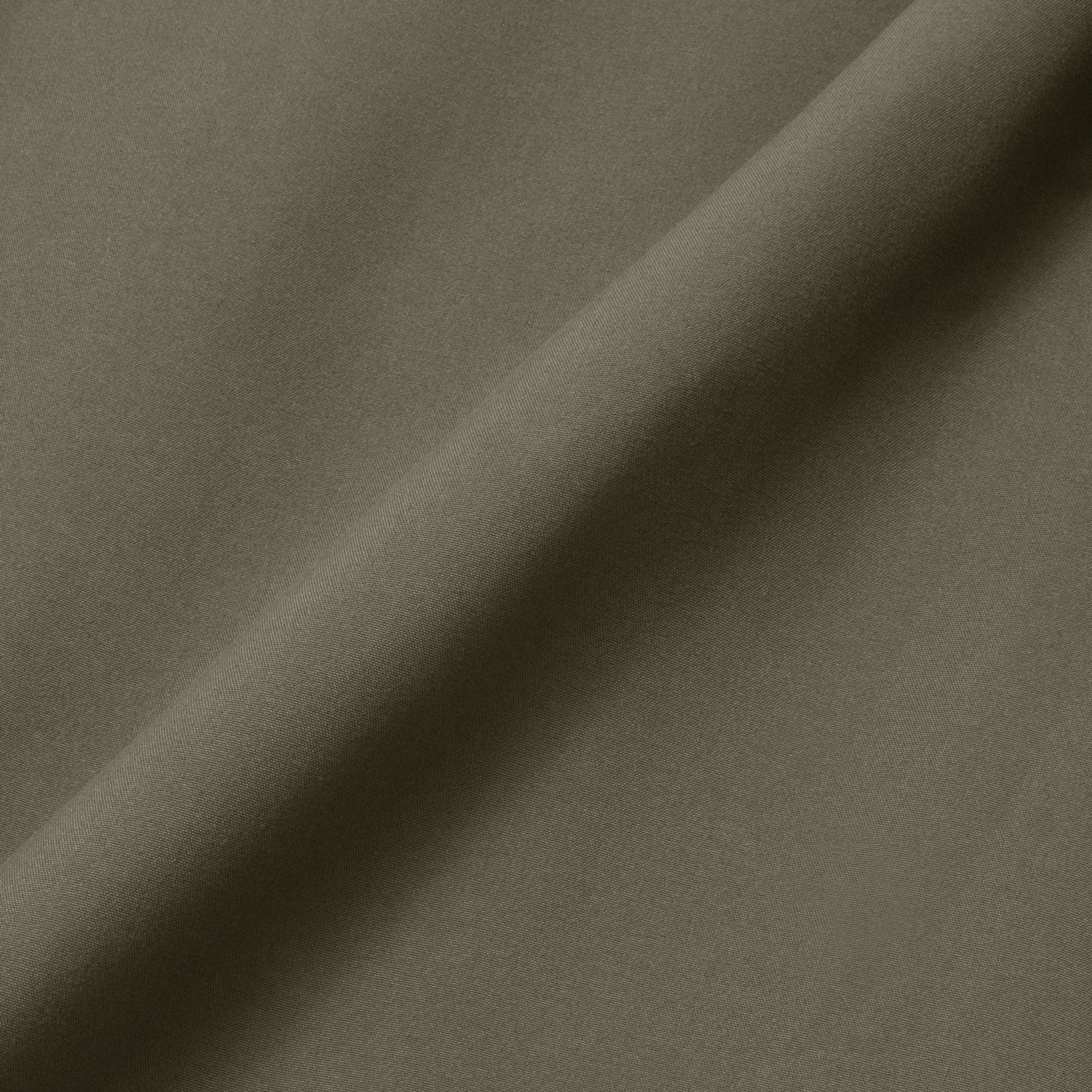 #color_dusk olive
