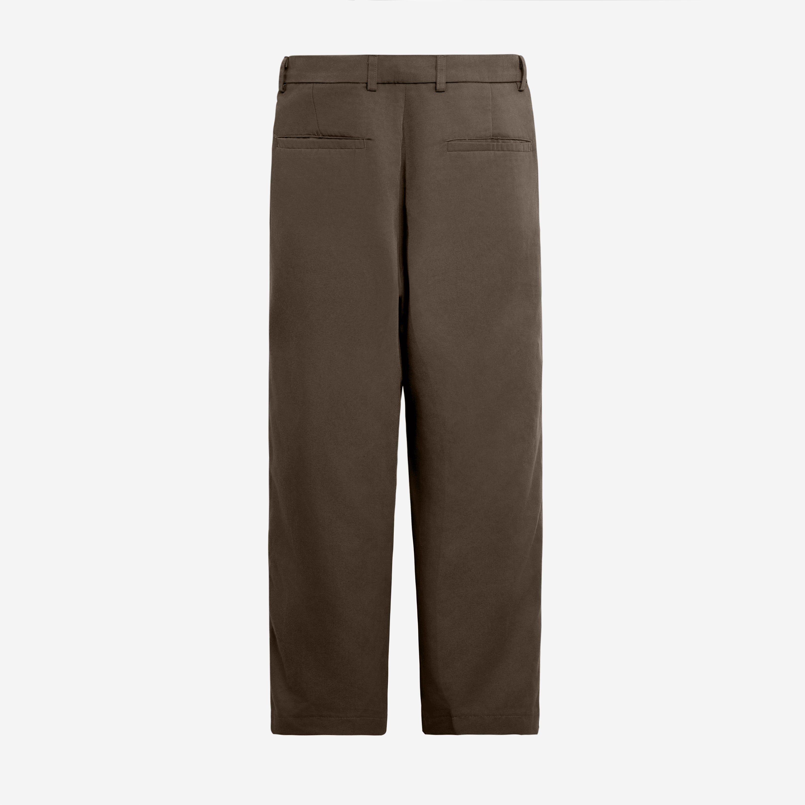 Sabh Pleated Pants - Brown